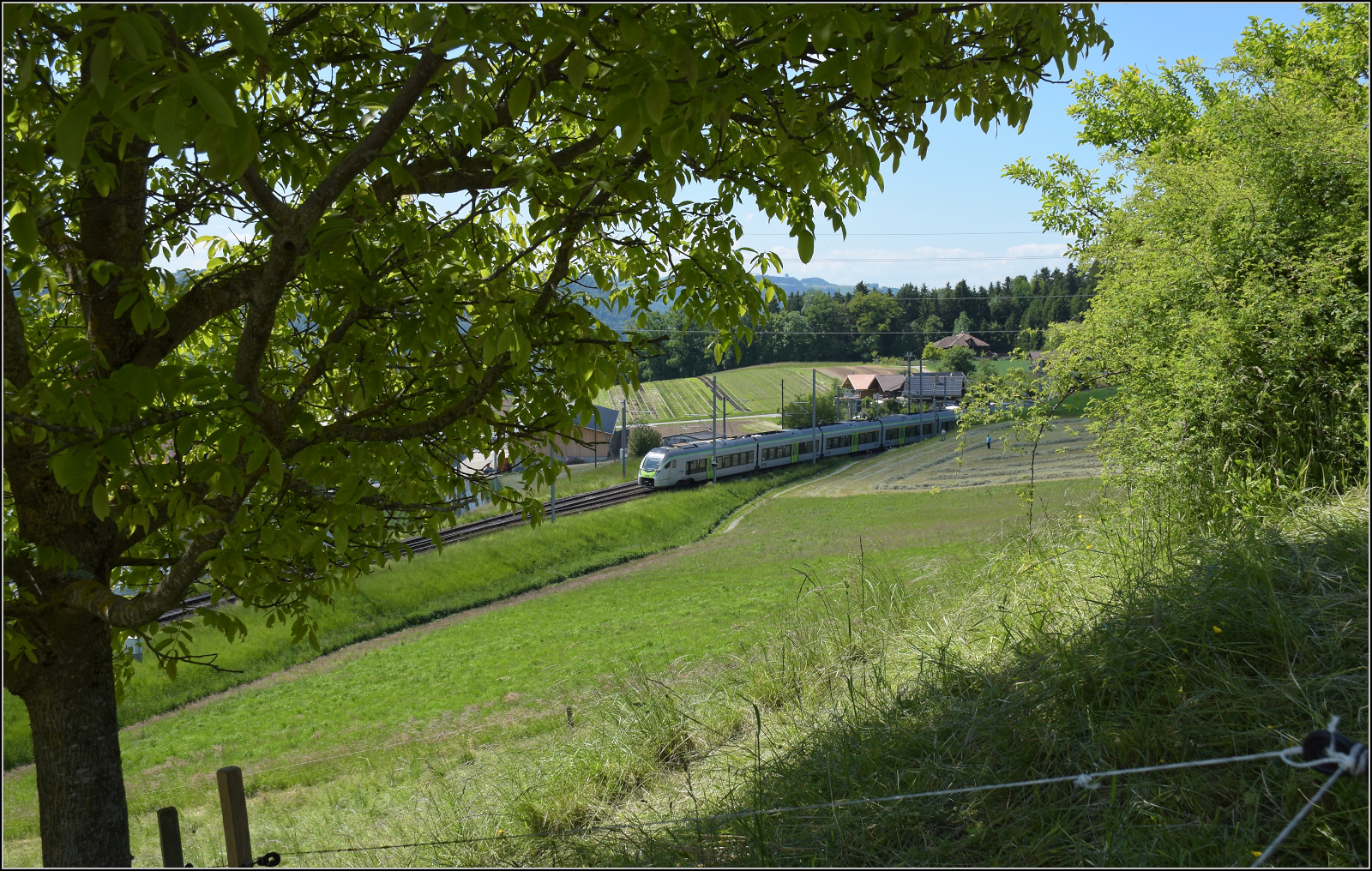 Warten auf die auf die Jubilare von 150 Jahre Emmentalbahn auf der angrenzenden  Bern-Luzern-Bahn . Zwischenzeitlich kommt RABe 528 126 auf dem momentan nach Langnau verk�rzten Weg vorbei. T�gertschi, Mai 2025. Konolfingen, Mai 2025.