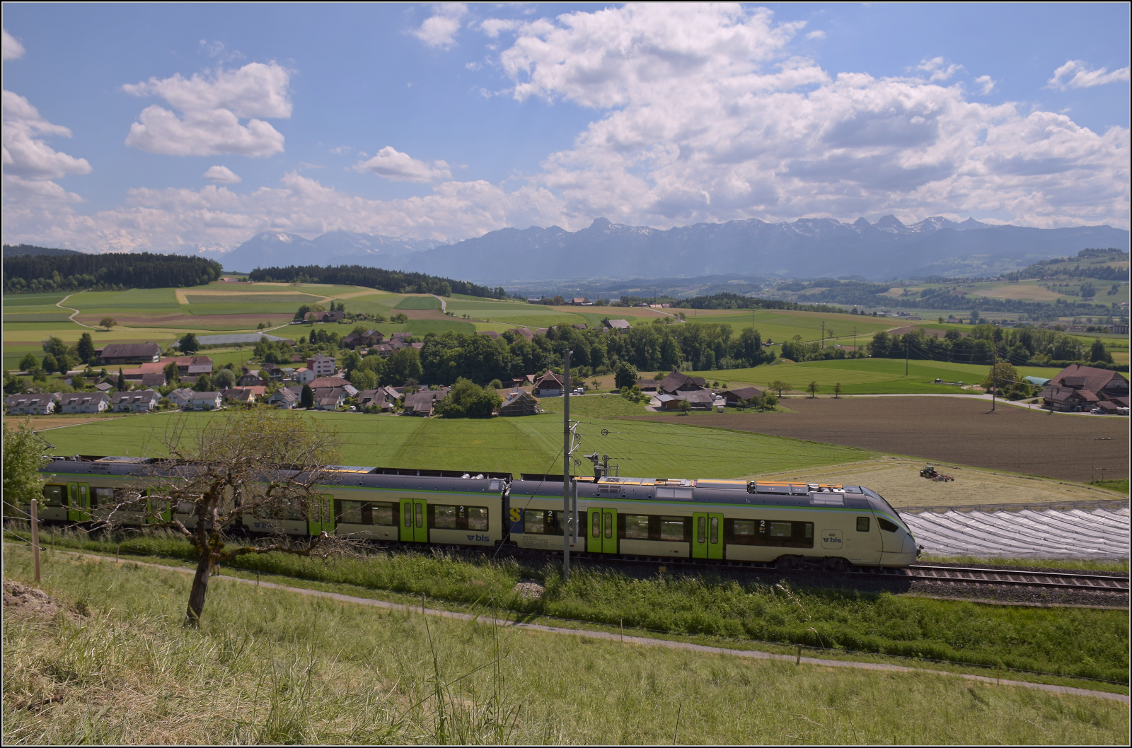Warten auf die Dampfloks. RABe 528 222 und RABe 528 205 auf dem Weg nach Bern. Dabei wird klar, dieser Fotostandort hat zwar ein wunderbares Panorama, ist aber f�r die Kamera H�chststrafe. Allerdings werden alles anderen Fotos von der Sonnenseite mit Wiese im Hintergrund ohnehin gemacht; ein guter Grund, wider jede Vernunft aufs Ganze zu gehen. T�gertschi, Mai 2025.