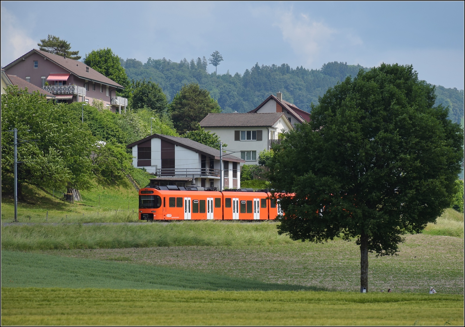 Worbla Be 4/10 09 in Sinneringen. Juni 2023.