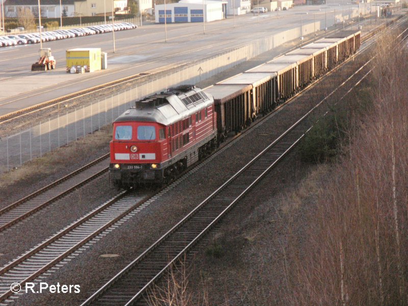 233 594-1 durchfhrt Wiesau/Oberpfalz mit ein Tams-zug. 22.01.08