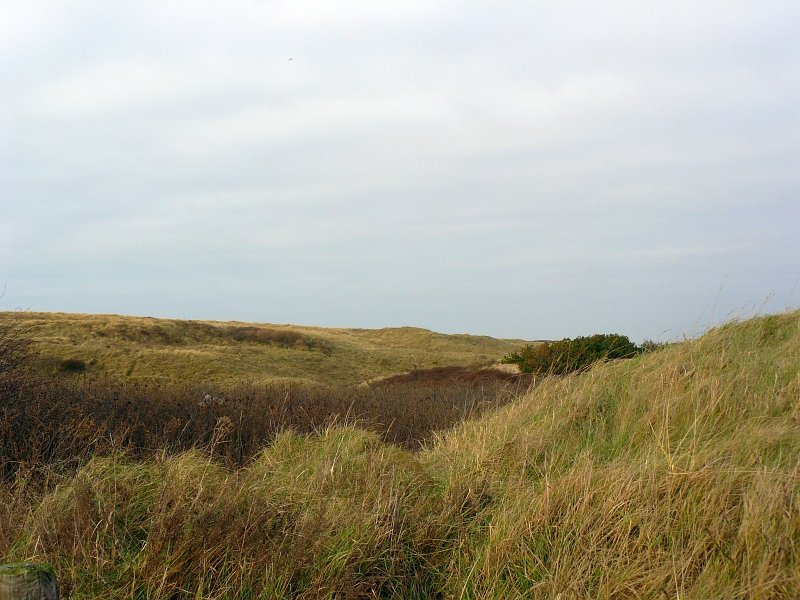 Dne bei Noordwijk Januar 2008.