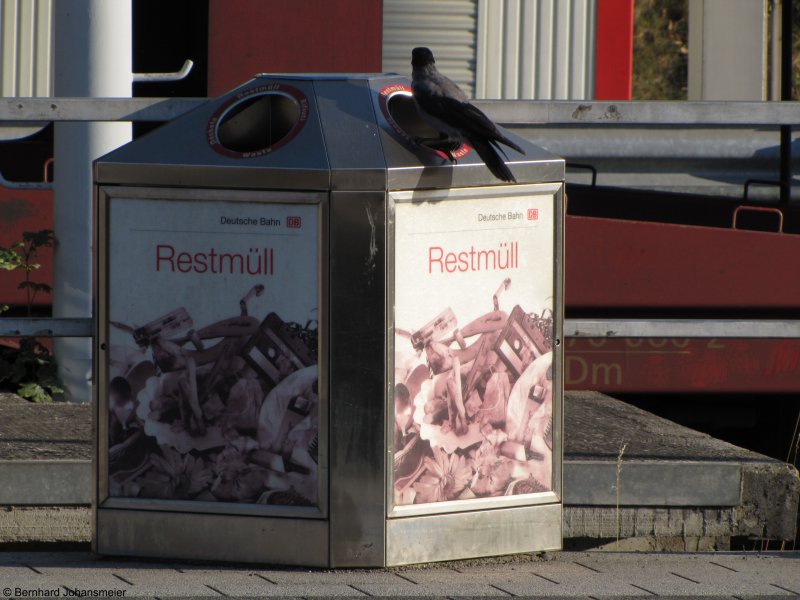 Eure Seite hat sich schon mehrmals als sehr tierlieb erwiesen, durch Zufall hatte ich jetzt auch die Gelegenheit ein paar Bilder zu schie�en. So ist das erste Motiv f�r meine neue Kamera diese Kr�he auf dem M�lleimer am Autozugbahnsteig in Berlin Wannsee. September 2009