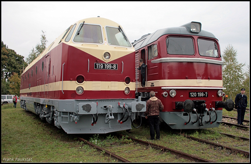 MEG 119 199 und 120 198 (Leihgabe DB Museum N�rnberg) eintr�chtig nebeneinander (Eisenbahnfest des TEV zum Weimarer Zwiebelmarkt, Weimar 10.10.2009)