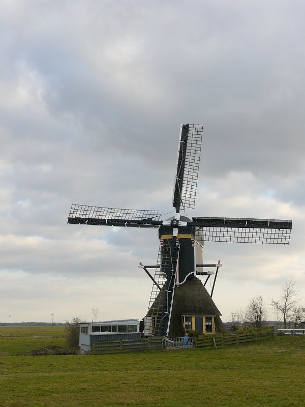 Mhle  Achthovense molen  bei Leiden 14-02-2009.