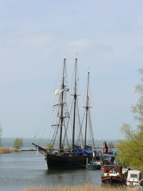 Segelschiff bei Schloss Muiden am 20-04-2008.