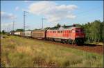 DB 233 249-2 mit gemischtem G�terzug (ex 232 249-3, gesichtet Berlin Wuhlheide, 21.07.2009 - Update: In Saalfeld z)