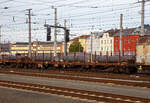 Vierachsiger Drehgestell-Flachwagen, mit Stirnwandklappen und Drehrungen, ohne Seitenklappen, 31 81 3991 021-6 A-RCW, der Gattung Rns-z, der Rail Cargo Austria (zur ÖBB), am 12.09.2022 im Zugverband beladen mit geschmiedetem Rundstahl bei einer Zugdurchfahrt im Hbf Salzburg.

TECHNISCHE DATEN: 
Spurweite: 1.435 mm (Normalspur)
Anzahl der Achsen: 4 (in 2 Drehgestellen)
Länge über Puffer:  22.350 mm
Drehzapfenabstand:  9.000 mm
Achsabstand im Drehgestell: 1.800 mm
Länge der Ladefläche: 21.000 mm 
Höhe der Ladefläche von SOK: 1.260 mm
Ladefläche: 55,4 m²
Eigengewicht:  23.500 kg
Max. Zuladung: 58,5 t (ab Streckenklasse C), 66,5 t (ab Streckenklasse C)
Max. Geschwindigkeit: 100 km/h 
Bremse: O-GP-A (LL)
Bremssohle: IB 116
Feststellbremse: Ja
Verwendungsfähigkeit: RIV

Die Bedeutung der Gattungs- und Kennbuchstaben (hier Rns-z): 
R - Drehgestellflachwagen in Regelbauart
n - höchste Lastgrenze über 60 t
s - lauffähig bis 100 km/h
-z - Ladelänge 21 m