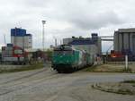 SNCF FRET Dieselloks 467453 und 467544 bei Rangieren. Watergang, Hafen Antwerpen, Belgien 10-05-2013. 

SNCF FRET diesellocomotieven 467453 en 467544 tijdens rangeerwerkzaamheden met silowagens. Watergang, haven Antwerpen, Belgi 10-05-2013.