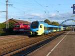 Abellio Westfalenbahn Triebzug ET 413 Gleis 4 Salzbergen 28-09-2018.