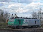 SNCF FRET Lokomotive 437015 Gterbahnhof Oberhausen West, Deutschland 12-03-2020.

SNCF FRET locomotief 437015 goederenstation Oberhausen West, Duitsland 12-03-2020.