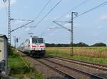 DB lokomotive 146 557-4 Bahnbergang Devesstrae, Salzbergen 11-09-2020.