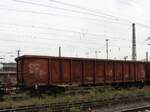 Eaos-x 052 DB Cargo offener Drehgestell-Wagen mit Nummer 31 RIV 80 D-DB 5376 154-6 Gterbahnhof Oberhausen West, Deutschland 18-08-2022.