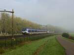 NS FLIRT Triebzug 2525 und 2212 im Nebel.