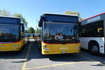 (286'378) - CarPostal Ouest - VD 495'031/PID 5011 - MAN am 25.