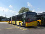 (227'286) - CarPostal Ouest - VD 242'251 - Solaris (ex TPB, S�deilles) am 15.
