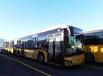 (257'910) - CarPostal Ouest - VD 604'476/PID 11'589 - Solaris am 24.