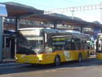 (213'286) - PostAuto Bern - BE 422'461 - MAN/Gppel (ex AVG Meiringen Nr.