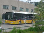 (218'014) - Amstein, Willisau - LU 185'612 - Mercedes am 14.