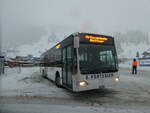 (231'815) - Portenier, Adelboden - Nr.