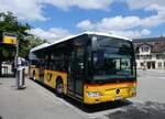 (263'372) - Rattin, Schlatt - TG 209'553/PID 4539 - Mercedes (ex Harz, D-Saarbr�cken; ex PostAuto Bern; ex AVG Meiringen Nr.