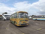 AFJ 86B
1964 AEC Reliance
Harrington C41F
New to Greenslade Tours, Exeter, England.

Photographed at Duxford, Cambridge, England, taking park in  Showbus , 21st September 2014.