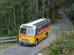 (197'770) - Frutig, Birmensdorf - ZH 560'883 - FBW/FHS (ex P 23'217) am 16.