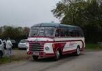 (268'663) - Aus Deutschland: Adorf-Reisen, D�sseldorf - D-SH 6H - Neoplan/Auw�rter am 26.