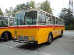 (129'814) - HPTrans, Thusis - GR 40'162 - Saurer/Tscher (ex Mauerhofer, Worb; ex Erni, Schupfart Nr.