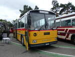 (265'826) - Gloor, Staufen - AG 6013 - Saurer/Hess (ex ALMAT, Tagelswangen; ex P 26'516) am 17. August 2024 in Neuhausen, Langriet