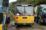 (280'356) - Gloor, Staufen -  P 26'516  - Saurer/Hess (ex ALMAT, Tagelswangen; ex P 26'516) am 13.