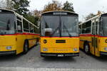 (281'435) - Gaudenz, Andeer - GR 1866 - Saurer/R&J (ex Mark, Andeer PID 2824; ex PostAuto Graub�nden; ex P 24'350) am 12.