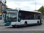 Mercedes Citaro II vom Verkehrsbetrieb Potsdam in Potsdam.