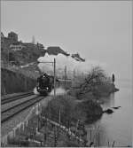 Die 01 202 dampft mit ihrem  Alpine Steam Express  eindr�cklich am Genfersee entlang.