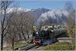 Die lange Reise beginnt: vor dem Hintergrund Schnee bedeckter Berge dampft die 01 202 des  Pacific 01 202  mit ihrem langen Zug an der von Palmen ges�umten Strecke von Locarno Richtung Bellinzona bei Muralto vorbei. 

22. M�rz 2018 