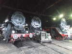 44 1182 mit 2 weiteren Dampfloks im Ringlokschuppen des Bw Sta�furt am 7.5.17