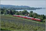 Eine DB 245 ist mit einem IRE bei Birnau auf dem Weg nach Friedrichshafen. 

18. Mai 2022