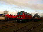 294 XXX, 241 353 der EBS und 232 103 der LEG in Delitzsch am 6.4.17