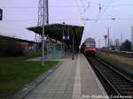 Am 3.2.13 steht 143 843-1 Mit Dosto-Wagen Als S1 mit Ziel Rostock Hbf im Bahnhof Warnem�nde