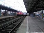 143 250 Als RE5 mit Ziel Neustrelitz Hbf / OLA VT 0004 mit Ziel �ckerm�nde Stadthafen im Bahnhof Neubrandenburg am 3.2.13