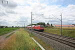 146 008 mit dem RE30 mit Ziel Halle/Saale Hbf unterwegs zwischen Niemberg und z�beritz am 5.7.21