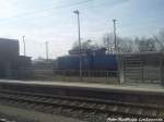 PRESS 346 020-3 (345 213-3) Dieselt gem�tlich aus Mukran in den Bahnhof Bergen auf R�gen am 24.4.13