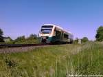 PRESS 650 032-4 unterwegs nach lauterbach Mole / Hier kurz hinter Bwergen auf R�gen am 7.6.13