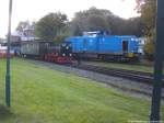 R�BB K�f 6003 und PRESS 293 021 im Bahnhof Putbus am 12.10.14