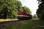 114 703 (203 230) und 86 1744 Mit Ziel Bergen auf R�gen bei der Vorbeifahrt an Neklade am 31.7.21