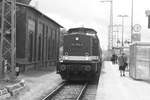 114 703 (203 230) im Bahnhof Bergen auf R�gen am 1.8.21