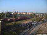 Eine MEG Lok (ex DR 252) mit einem G�terzug verl�sst Halle (Saale) am 4.10.14
