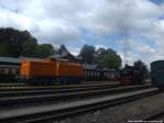 MTEG 293 022-0 und R�BB 99 1781 im Bahnhof Putbus am 6.1.14