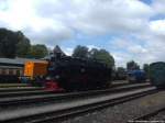 MTEG 293 022-0 , R�BB 251 901 und 99 1781 im Bahnhof Putbus am 6.1.14