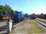R�BB 251 901 und MTEG 293 022-0 im Bahnhof Putbus am 10.6.14R�BB 251 901 und MTEG 293 022-0 im Bahnhof Putbus am 10.6.14