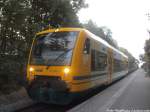 ODEG VT 650.74 i m Auftrag der PRESS mit ziel Bergen auf R�gen im Bahnhof Lauterbach Mole am 7.9.14